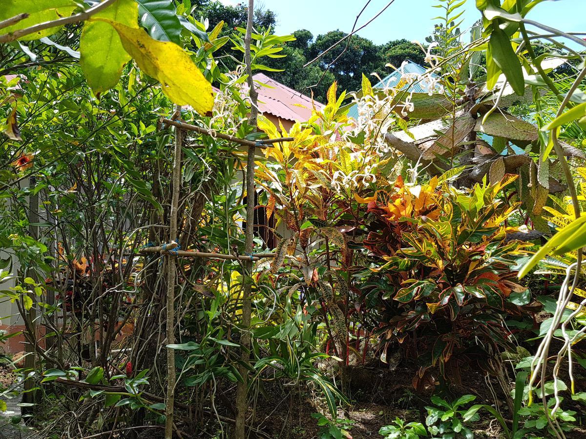 Island Bungalow La Digue Zewnętrze zdjęcie